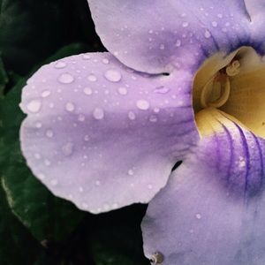 Meet your Posher, Jen